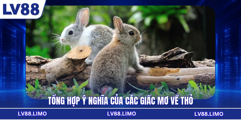 Tổng hợp ý nghĩa của các giấc mơ về thỏ